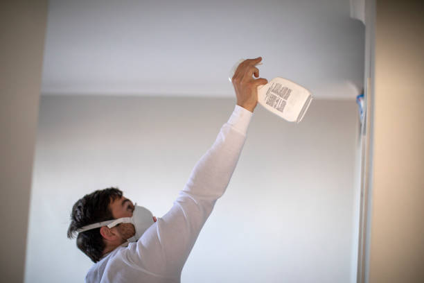 Best Home Mold Removal  in Iowa, LA