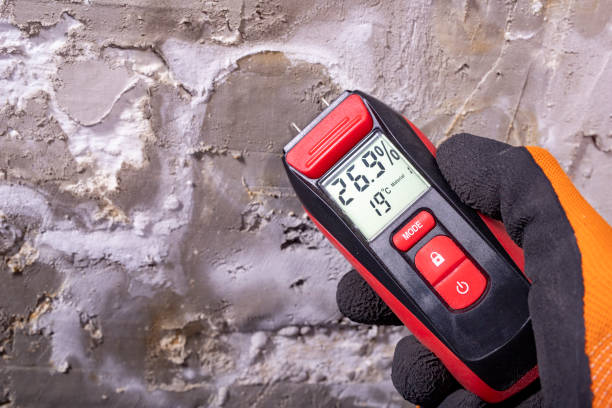 Best Residential Mold Removal  in Iowa, LA
